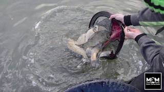 Feeder Fishing Masterclass- Catch MORE fish on the CAGE FEEDER