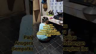 Ibu... Ridhomu, Doanu, kebahagiaan ketenangan mu adalah Surgaku