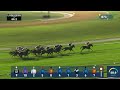Race #8 – 31.01.25 – Jumeirah Guineas Trial Sponsored By Emaar – Hallasan