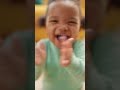 Happier Baby Laughing #dogvideos #funny #bulldogfunny