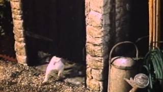 Hamlet Cigars Advert: Dog