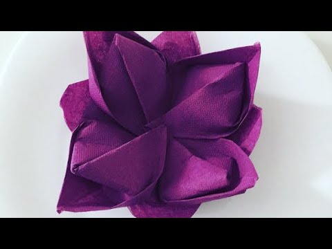 Paper Lotus Flowerfleur De Lotus En Papier Towel Folding