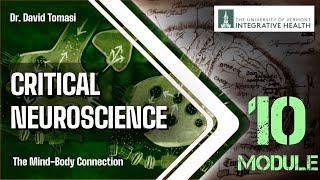 Week 10: Culture, Brain, Society, Identity, Gender, Sex - Part 2 (Critical Neuroscience)