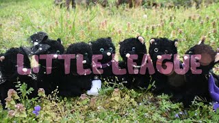 Little League parts 1, 2, 6, and 17 | For RedVelvetD0nut