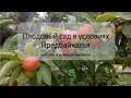 Особенности выращивания плодовых деревьев в условиях Предбайкалья. Ефимов Игорь