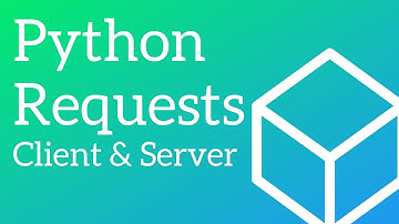 Python Requests [Everything you need to get started]