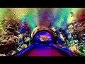 New York Aquarium Cinematic Walkthrough Tour NY Coney Island NYC Reef and new Shark Exhibit