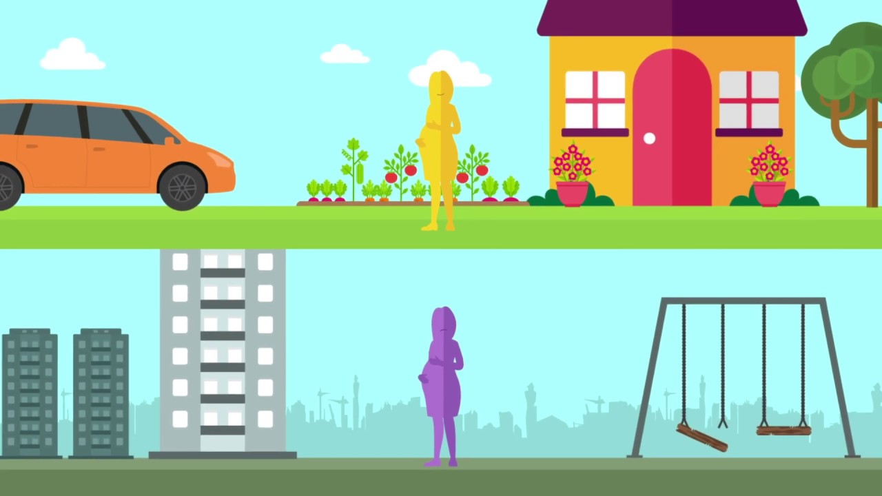 Social Determinants of Health | Public Health Agency of Canada