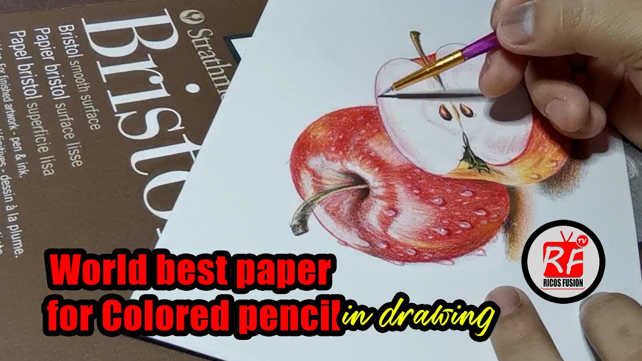 EPISODE 11 best paper for colored pencil in drawing Still life