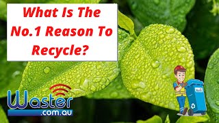 What Is The Best Reason To Recycle ♻️ Why We Should Recycle