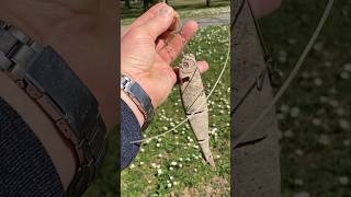 Bonn Jetzt Wird Es Peinlich