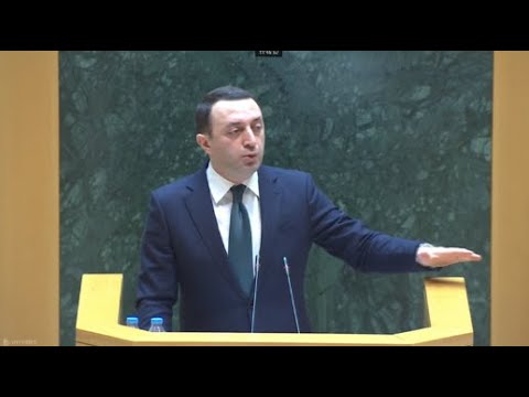 მარგინალური ხმაურიანი ძალები მუდმივად ქაოსისკენ და არეულობისკენ ისწრაფვიან - ღარიბაშვილის მოსმენა