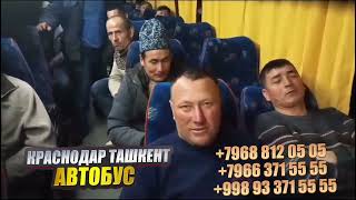 Тошкент Краснодар автобус 2024