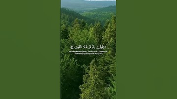 سورة المؤمنون  #QuranGuidance   #QuranWisdom