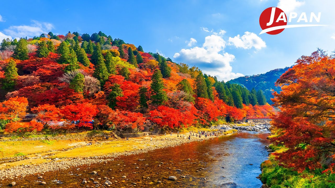 Ущелье Коранкей в осенних листьях / Исторический город Асукэ | Aichi, Путешествие Японии