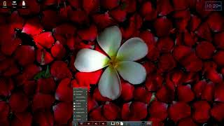Arch Linux With Enlightenment.....Light And Bright..!!