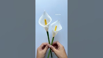 DIY Calla Lily flower 🥰