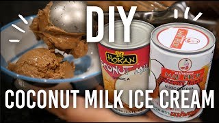 How to Make Coconut Milk Chocolate Icecream