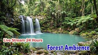 Beautiful waterfall with clear water while the bird singing along is the best for relaxing Sleeping