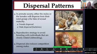 Primate Behavior, Social Organization, & Reproduction (Part I Lecture)