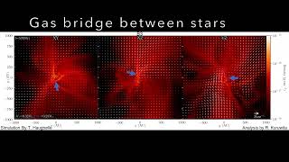 Zoom-in simulation of a binary star forming (B3)