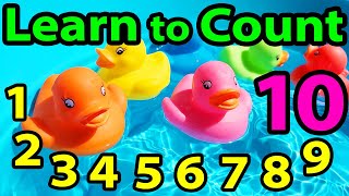 Learn to COUNT to 10 Rubber Duckies Somg Educational Videos for Kids Kindergarten Learning Preschool