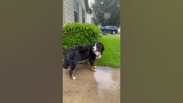 Phil enjoying the rain