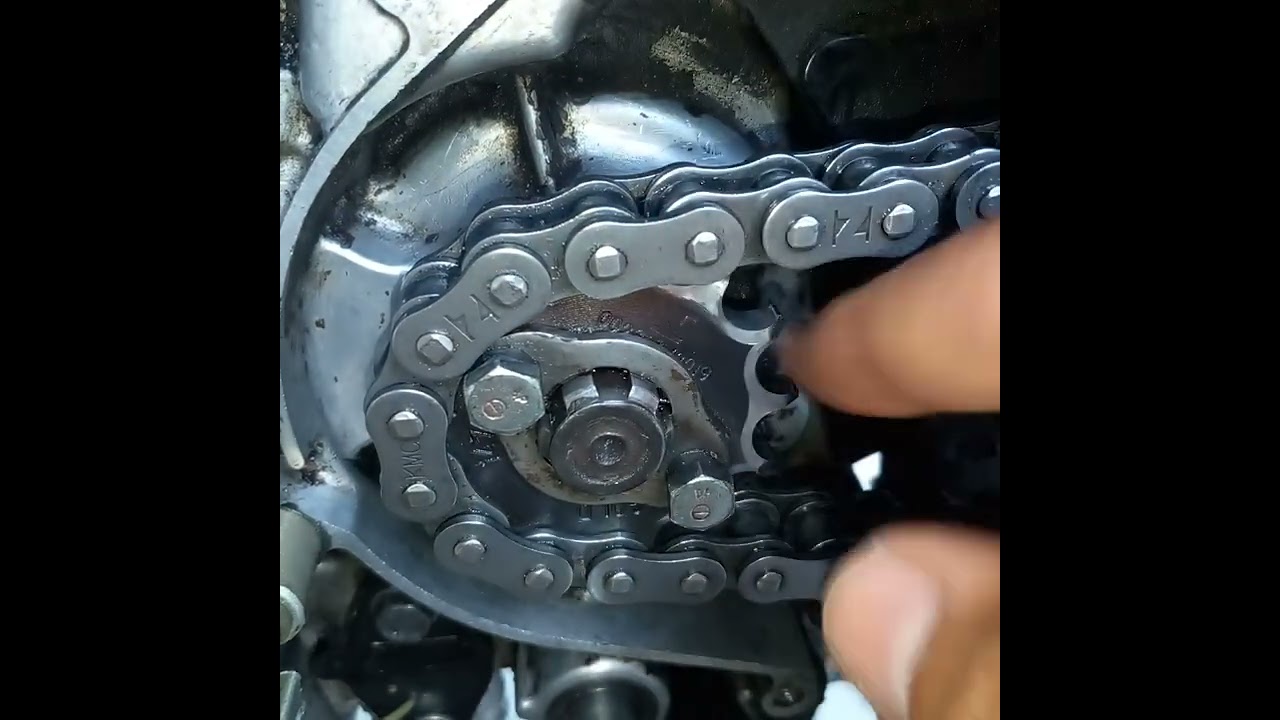 Folga no pinhão ?!!! Será que vai dar B.O ?