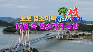 [동물농장 tv] 12월 흑염소가격 동향  섬 아닌 섬에서.. 초보 흑염소 농장주를 만나 봤습니다 ^^  #…