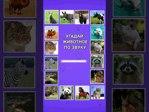 Видео: Угадай Животное по Звуку