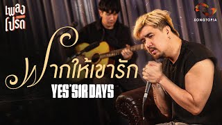 ฝากให้เขารัก - YES'SIR DAYS | เพลงโปรด