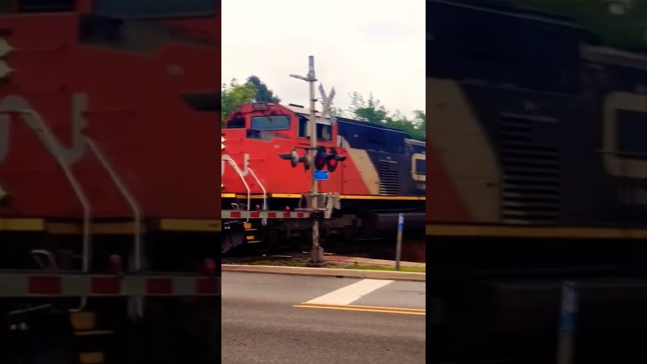 Railfanning in West Chicago, Illinois:  Canadian National Intermodal Train Blasting North