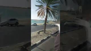 #دبي #الشارقة
