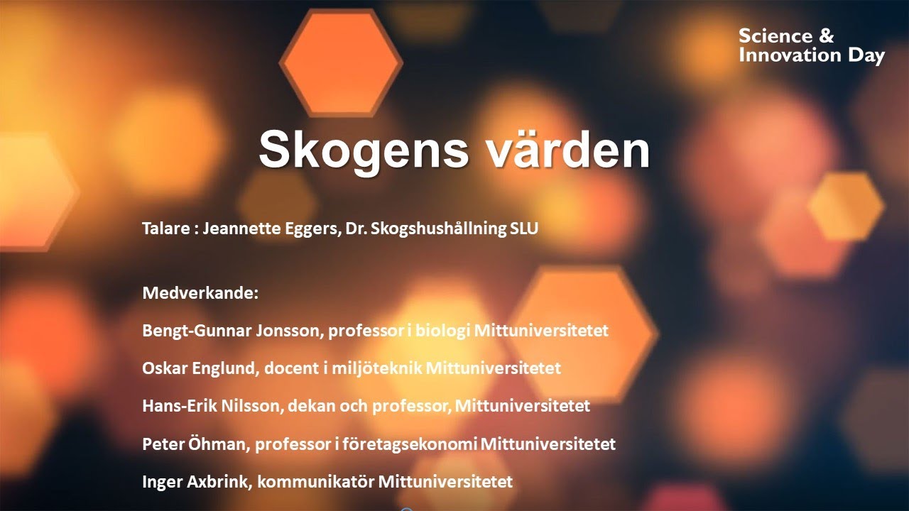 Skogens värden - vetenskapliga reflektioner