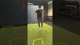 Multi-Directional Hurdle Hops