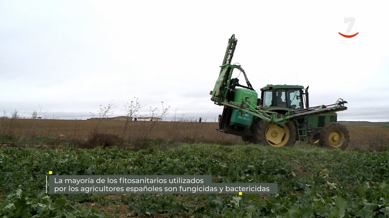 Flash El campo al día (04/06/2026): Fitosanitarios más usados: fungicidas y bactericidas