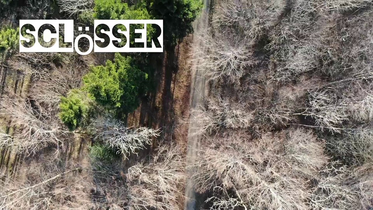 Werbetrailer Wald Meister