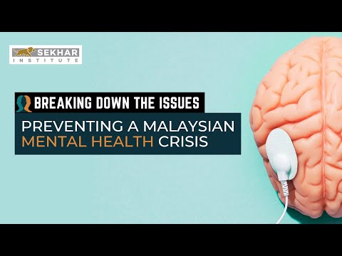 Preventing a mental health crisis | Breaking Down the Issues