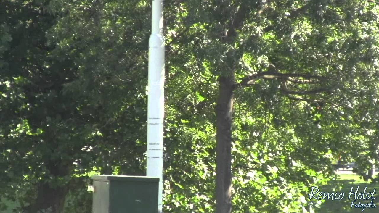 A1 AMBU 17-103 en 17-135 HARGALAAN 3118JA SCHIEDAM aankomst EMC