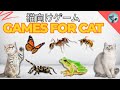猫向け3Dゲーム 🎮 Cat TV 🐱 [Red Ant, Spider, Bee &amp; More!] | 3D HD フルエンターテインメント