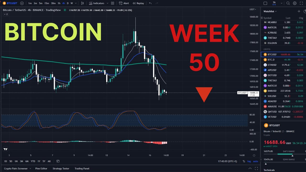 Bitcoin & Rezumatul saptamanii 50 din piata crypto YouTube