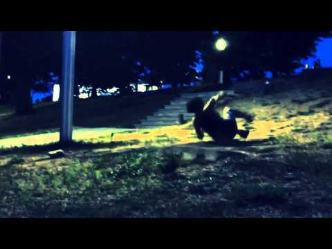 პარკური (parkour)