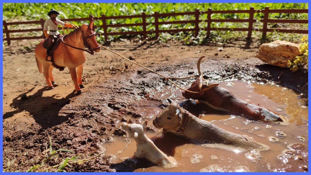 INACREDITÁVEL! A VACA E O BEZERRO ESTÃO ATOLADOS TAMBÉM #chapeudogato