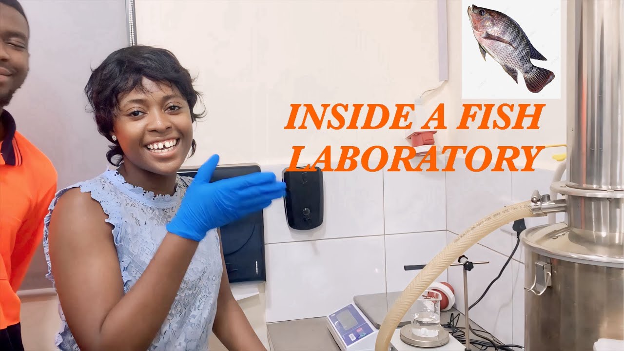 A tour inside a fish lab. #Agritop - YouTube