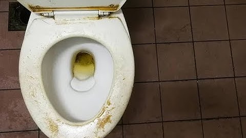 A FILTHY Blocked Drain | A Preview of Tomorrow