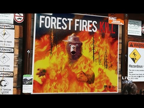 u s forest service kills off smokey bear to get people serious