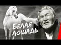 Белая лошадь (1966) фильм