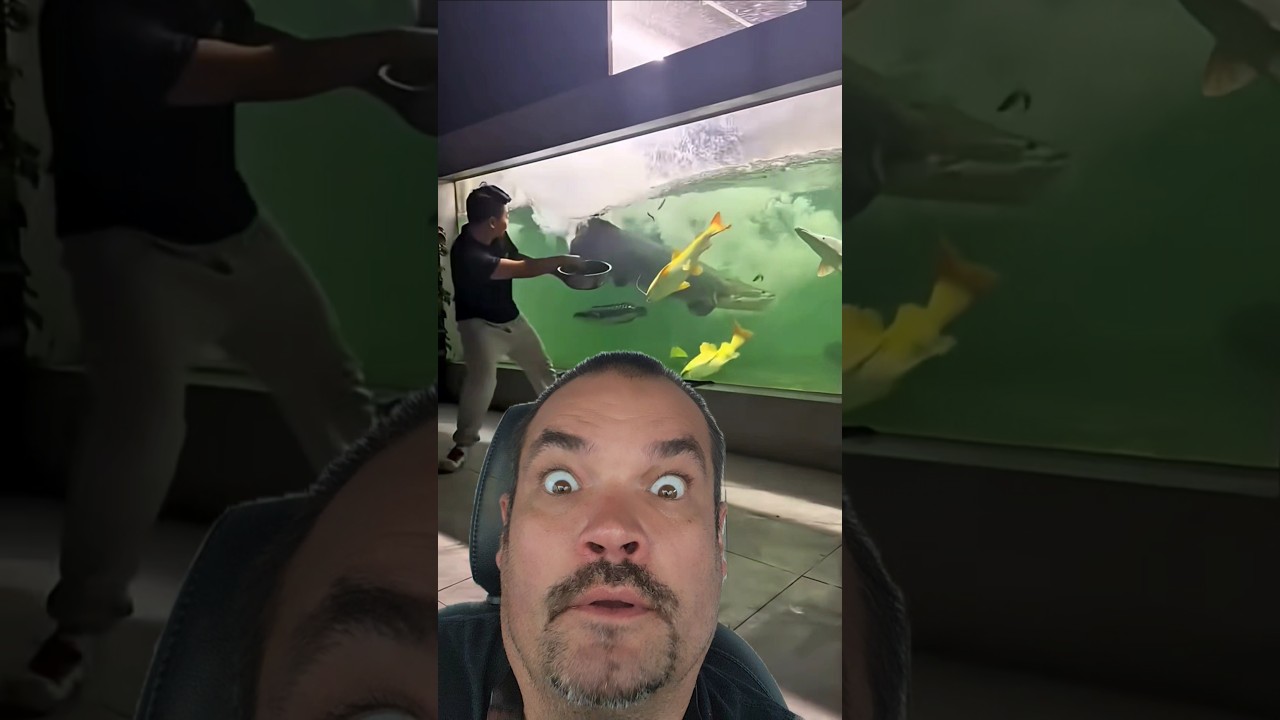 Holy Crap! u gotta see this!