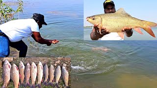 6 Hook से मछली पकड़ने में माजा आ गाया। Big Rohu Fishing Techniques | मैनें मछली पकडा। | Fishing