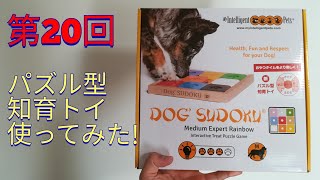 第20回　パズル型知育トイ使ってみた